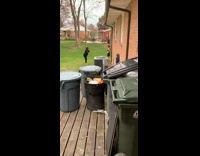 Green dress girl brick wall trash cans 