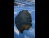 Fresh water and mud coming out of pipe covered in snow