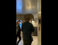 Collab WINY - Man walk in station dog stand on shoulder