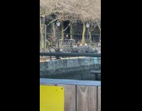 Guy lifts metal traffic barrier at park 