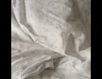 Brown dog rolls around under white blanket