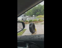 Car driver removed wheel to get ticket boot off 