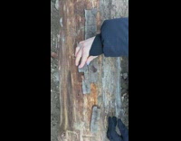 Girl place pieces of wood bark like puzzle