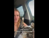 Girl showing her cat in car relaxed