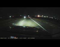 Car almost hit deer running on road