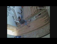 Pet cat jumps out from the hole in the floor 