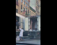 Girl drives by guy moving dead pigs 