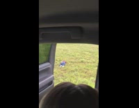 Drunk girl falls in grass meadow fail