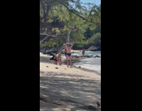 Man in blue briefs poses at the beach