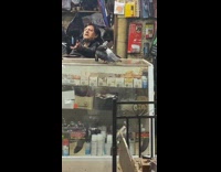 Man in store with pet pigeon on display