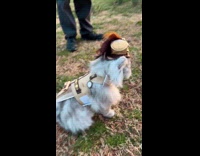 Woman shows cat wearing hat wants to meet stranger