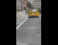 Girl drives behind yellow Tesla taxi cab 