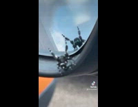 Woman finds spider looking at itself in reflection 