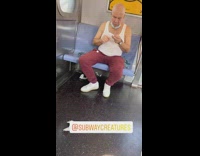 Man puts stick up his nose and puts it away