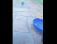 Girl rescues elmo doll from rain 