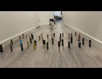 Cat walks around lipsticks on floor 