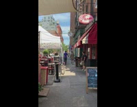 Purple shirt guy white bird shoulder sidewalk 