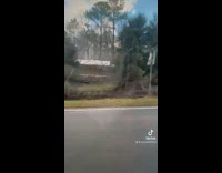 Girl drives by sculpture that had fallen over in display