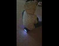 Kid sits on hoverboard and spins around 