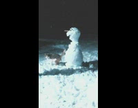 Cat sits next to olaf snowman snow 