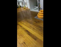 Girl brown cat fetch grey mouse toy 