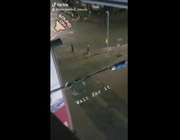 Collab BitchMP - Fox animal in street scream