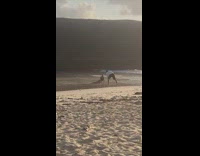 Woman in bikini sits sideway on the beach shore