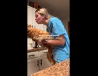Cat avoiding hoomans kisses 