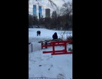 Three women on the snowy warned area