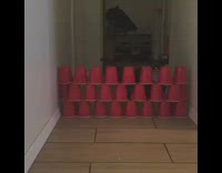 Black white cat jumps over red cups