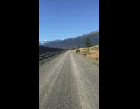 Large black dog fetch tennis ball pees 