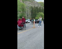 Two men red checkered polo match tiktok video shoot 