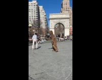 Bear mascot handout flyers at the park