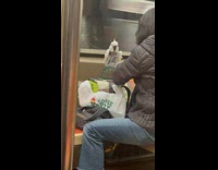 Collab Subway Creatures - Woman ride subway train with cockatoo bird