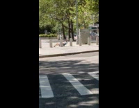 Guy sunbathes in a beach chair near street 