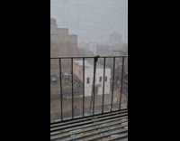Windy rain storm view from apartment window