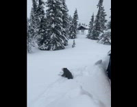 Boy flips from roof to thick snow