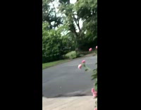 Guy shoots basketball breaks shatters backboard fail 