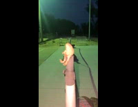 Collab BitchIG2 - Man grabs frog with his mouth 