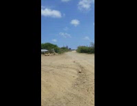 Guy rides scooter fast down trail