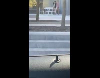 Two girls pose jackets underwear heels car