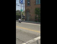 Girl kneels on road to take photo