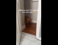 Woman tells dog she could eat a dog 