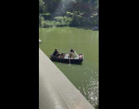 Woman in green dress rows boat with photographer