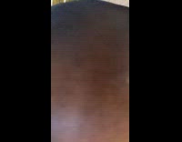 Horse cracks its neck 