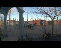 Pet dog jacket get stuck on the front yard decoration