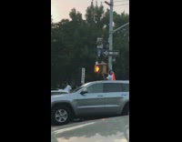 Guy changes light inside street sign