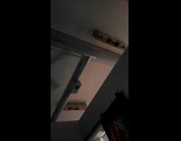 Cat jumping around vent pipes at night