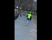 Guy wears stilts with springs at park