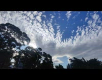 Man Shows Bird Shaped Clouds on Sky